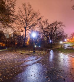 The best lightroom presets