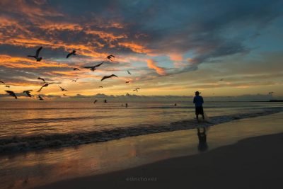 Landscape Photography Tutorial Master Composition - Image 4