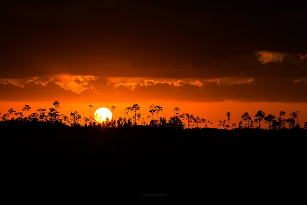 Everglades Sunset Photography Workshop