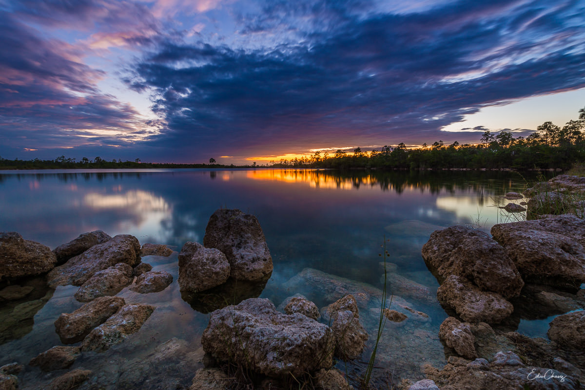 Everglades photography guide