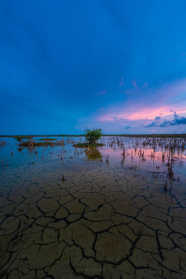 Best Everglades Sunset Photography Workshop and Tour