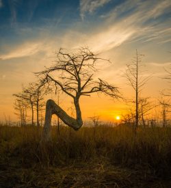 Nikon 14-24 Lens Review for landscape photography