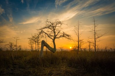 Nikon 14-24 Lens Review for landscape photography