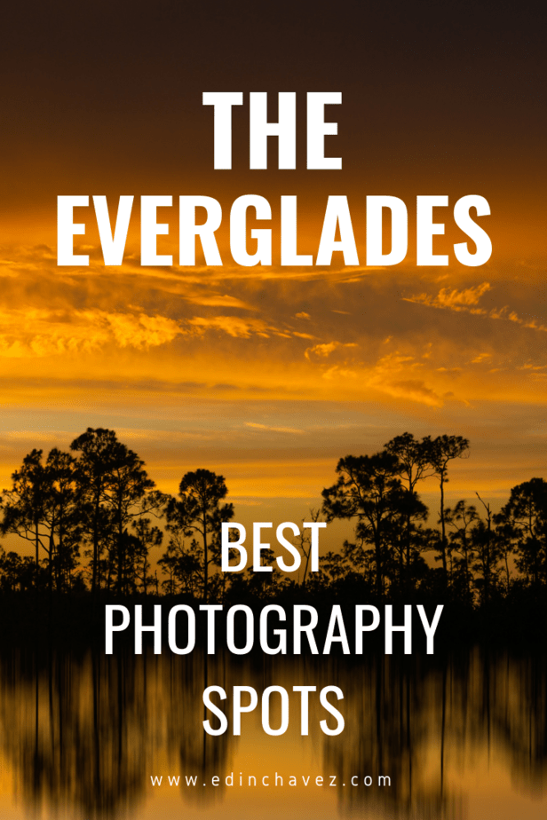 Best Places To Photograph in The Everglades National Park Best places to photograph in the everglades nationla park