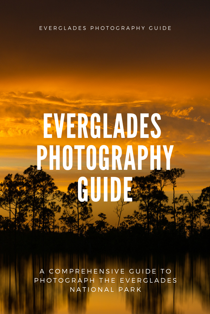 best everglades photography locations Everglades photography guide, best places to photograph in the everglades, everglades photography spopts