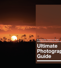 Photography Guides