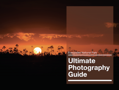 Everglades Photography Guide